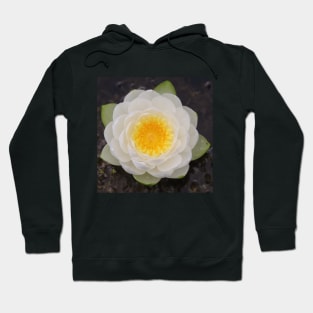 Waterlily at the Brickworks Hoodie